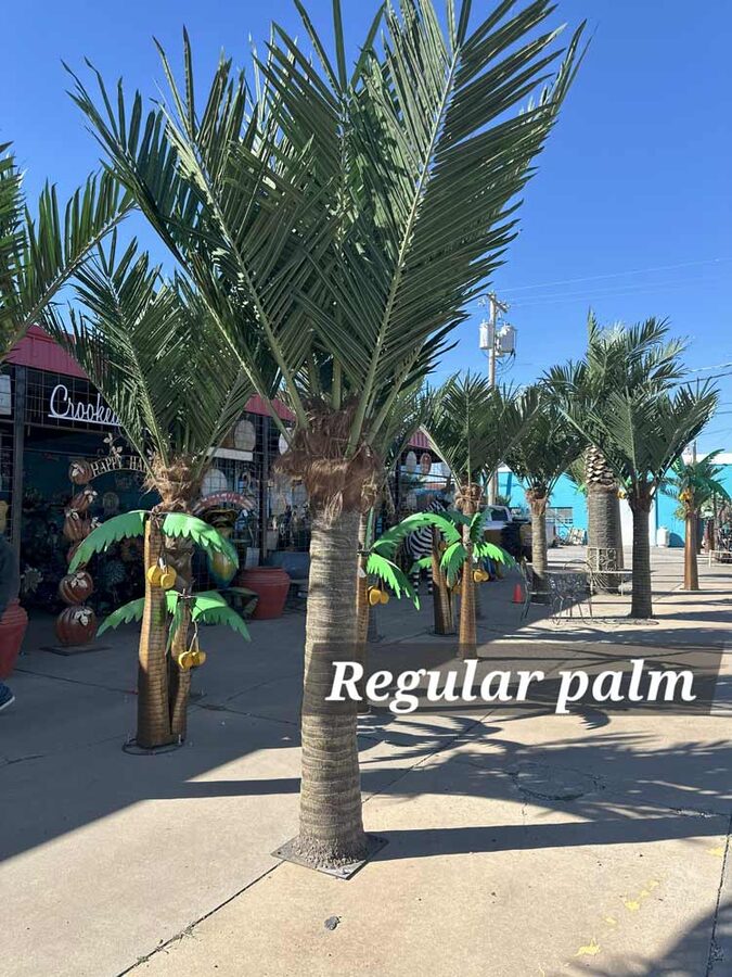 Faux palm trees installed by Texas Patios Plus in south DFW