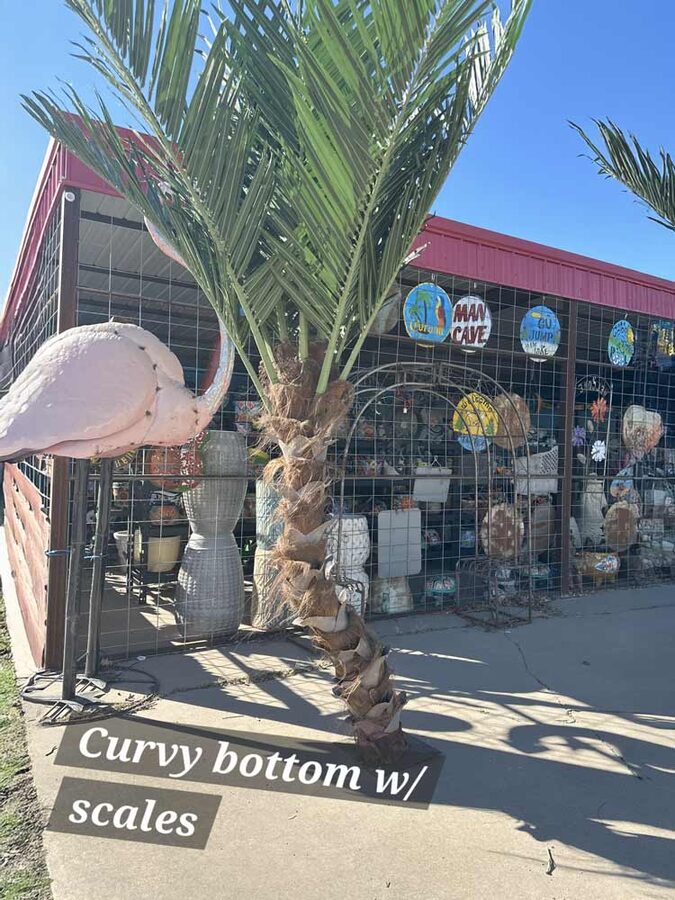 Faux palm trees installed by Texas Patios Plus in south DFW