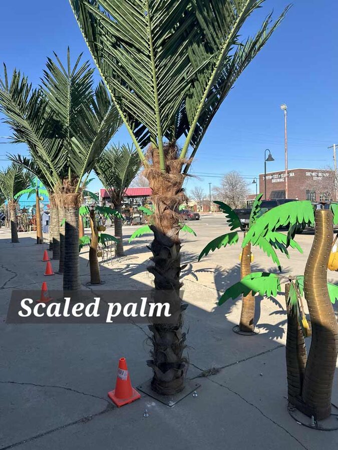 Faux palm trees installed by Texas Patios Plus in south DFW