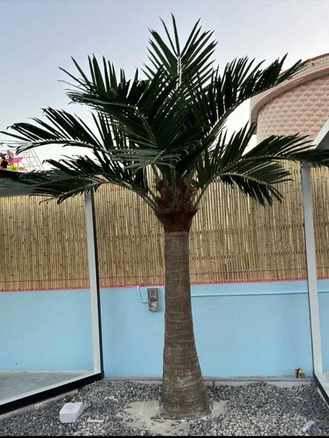 Faux palm trees installed by Texas Patios Plus in south DFW