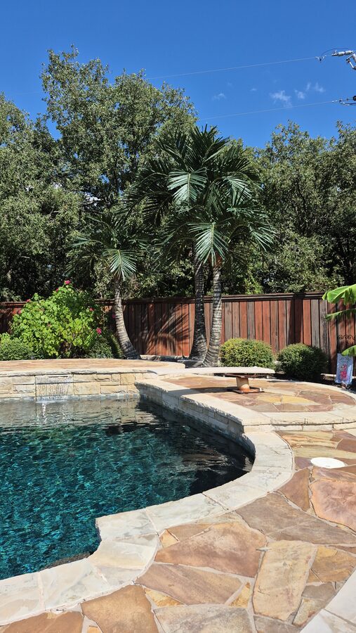 Custom pool built by Texas Patios Plus in south DFW