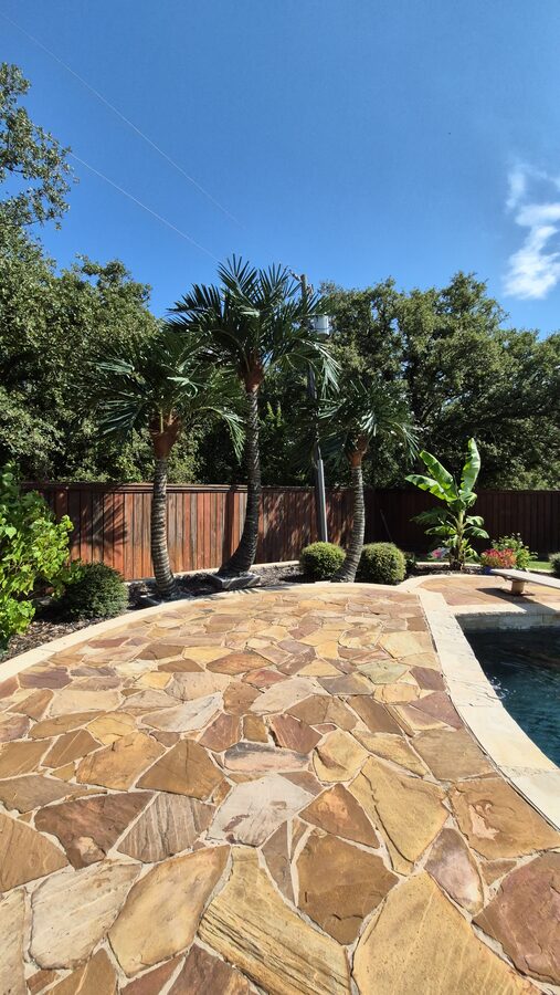 Custom pool built by Texas Patios Plus in south DFW