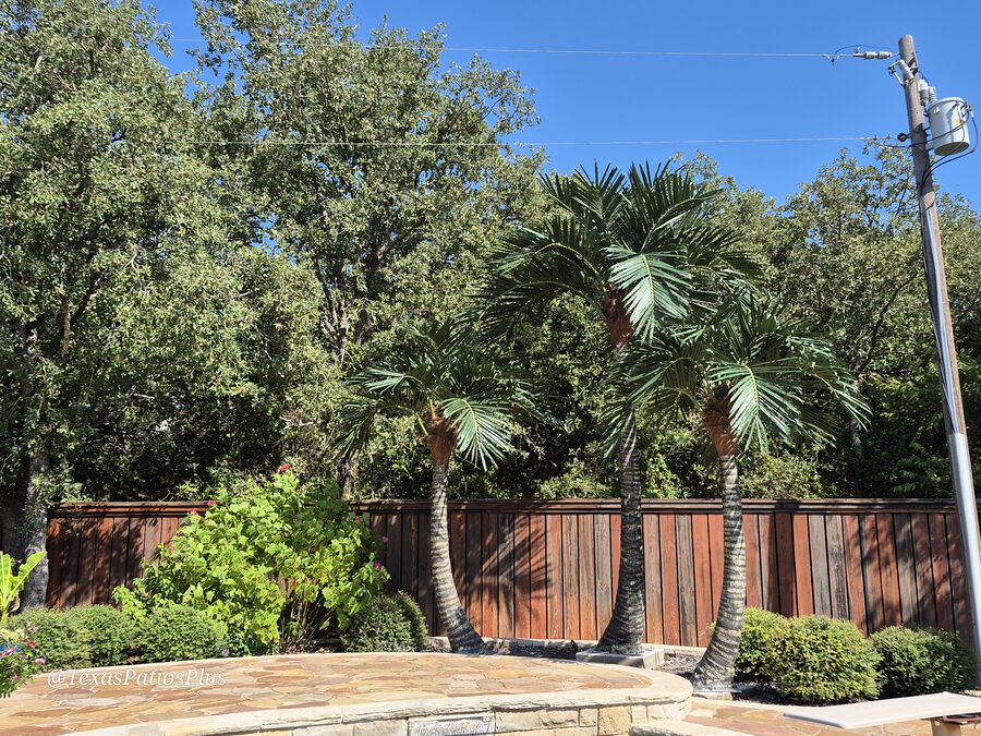Custom pool built by Texas Patios Plus in south DFW