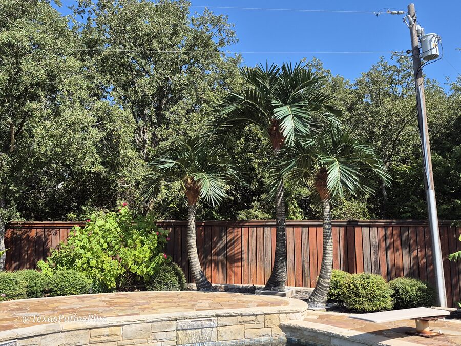Custom pool built by Texas Patios Plus in south DFW